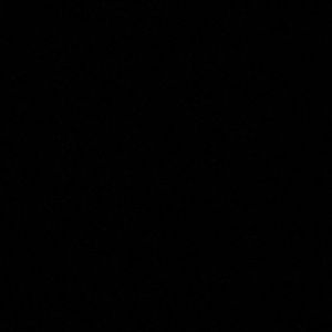 Meet your Posher, Lupe